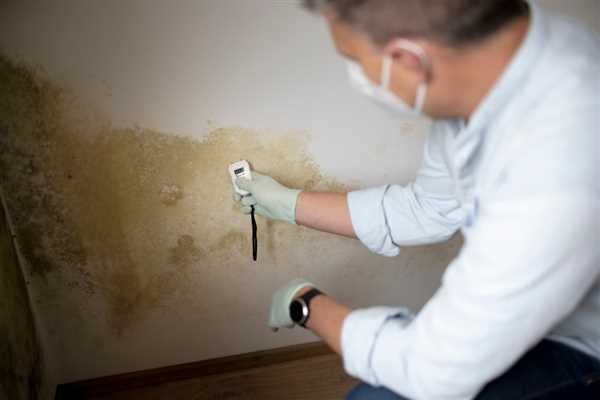Damp Proofing Company Deeside