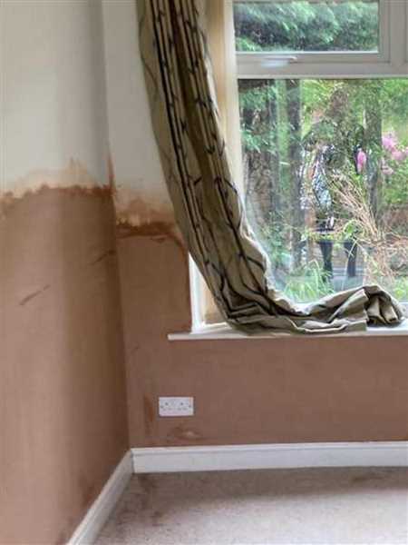 Damp Proofing Work